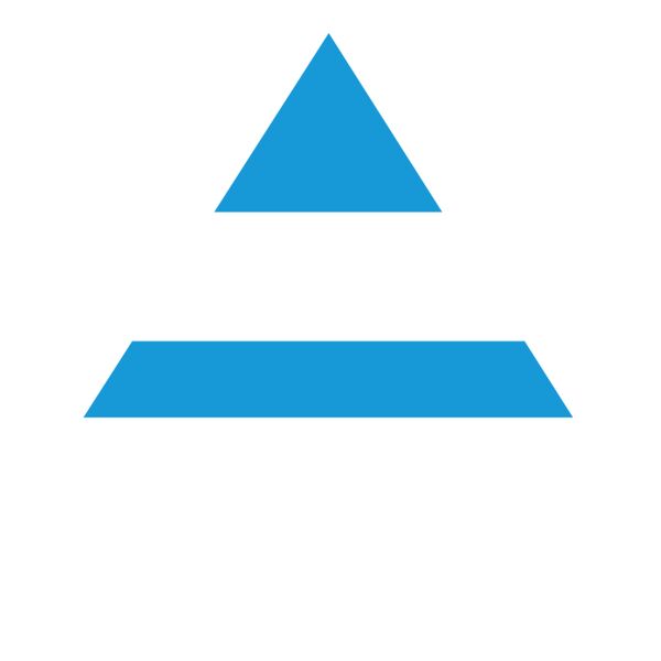 NAIFA_NortheastFlorida Blue White Thumbnail